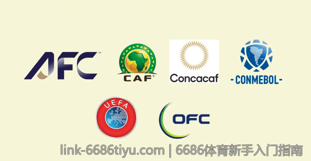 6686体育新手入门指南