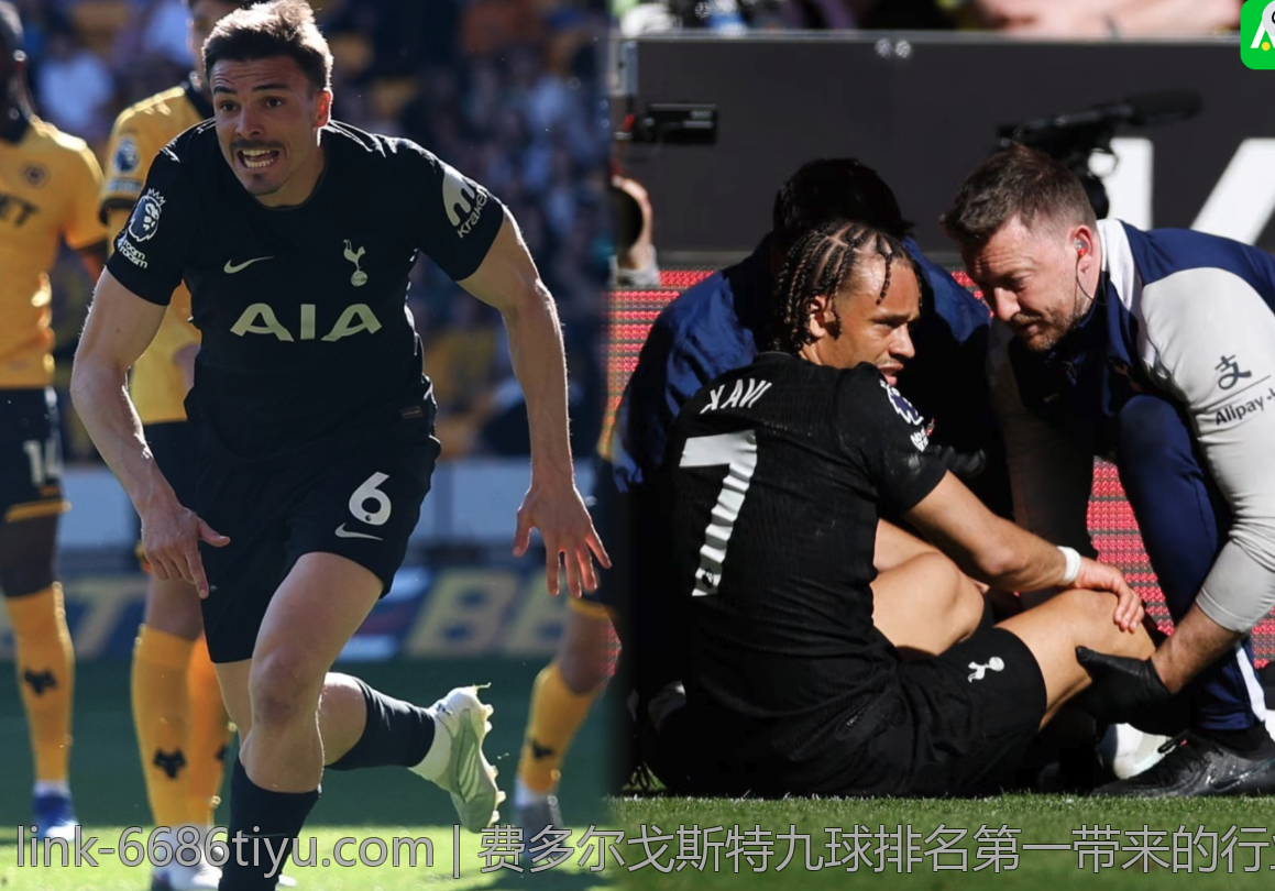 费多尔戈斯特九球排名第一带来的行业新变革